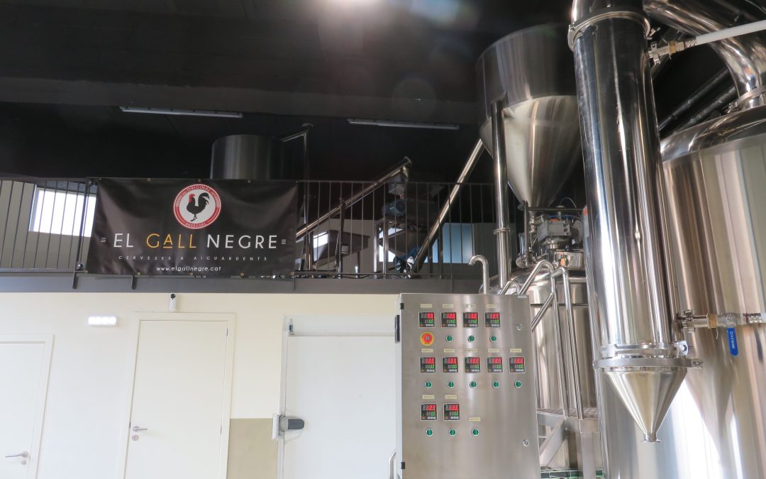 Obertura Local Gall Negre Cerveseria a la Seu d’Urgell