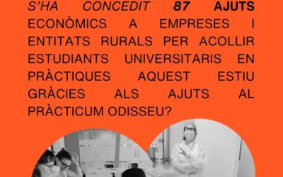 Publicada la resolució dels Ajuts al Pràcticum Odisseu 2026, que consolida la participació d’estudiants de les 12 universitats catalanes