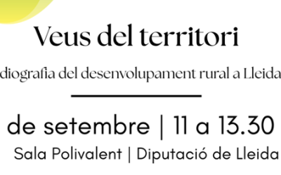 Veus del territori. Radiografia del desenvolupament Leader a la província de Lleida